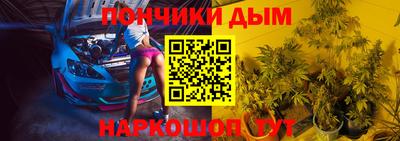 крисы Лесосибирск