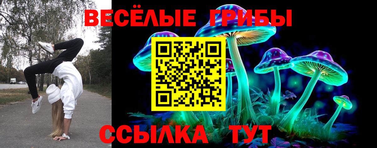 Губаха  Галлюциногенные грибы GOLDEN TEACHER  Галлюциногенные грибы MAGIC MUSHROOMS  даркнет сайт  Вход с VPN 