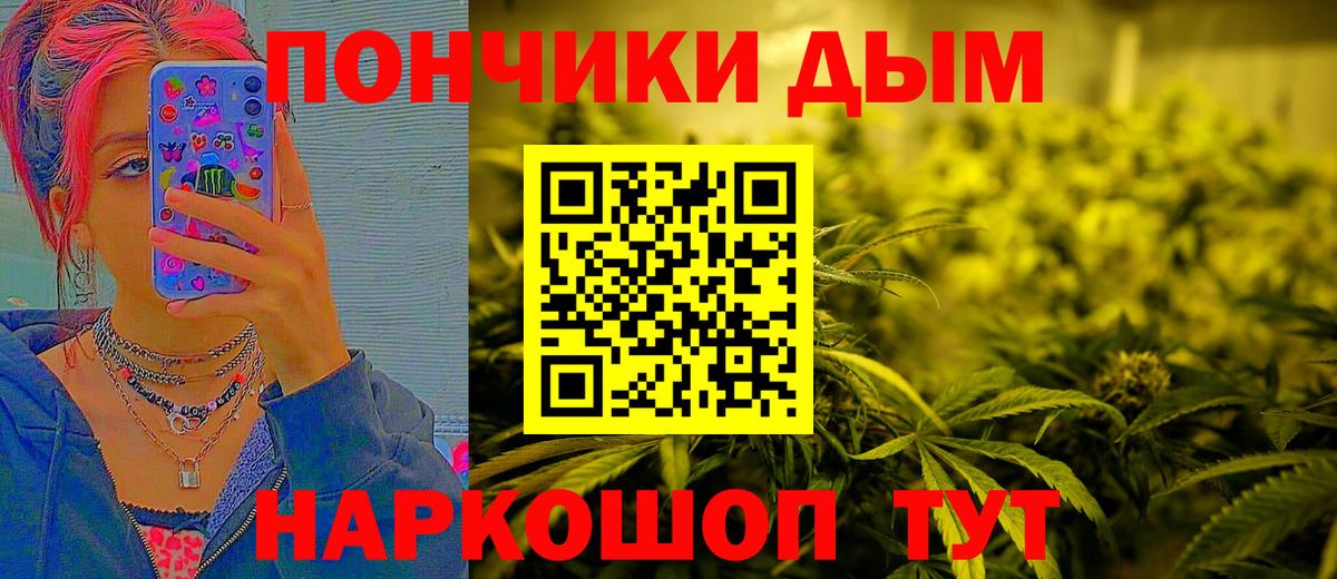 Бошки Шишки план Губаха